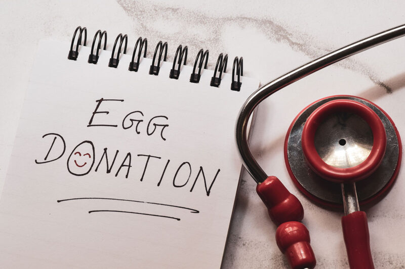 Egg Retrieval Process Eggceptional Fertility