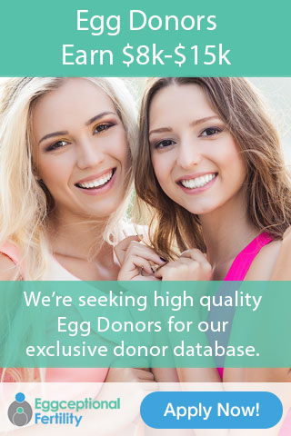 become an egg donor